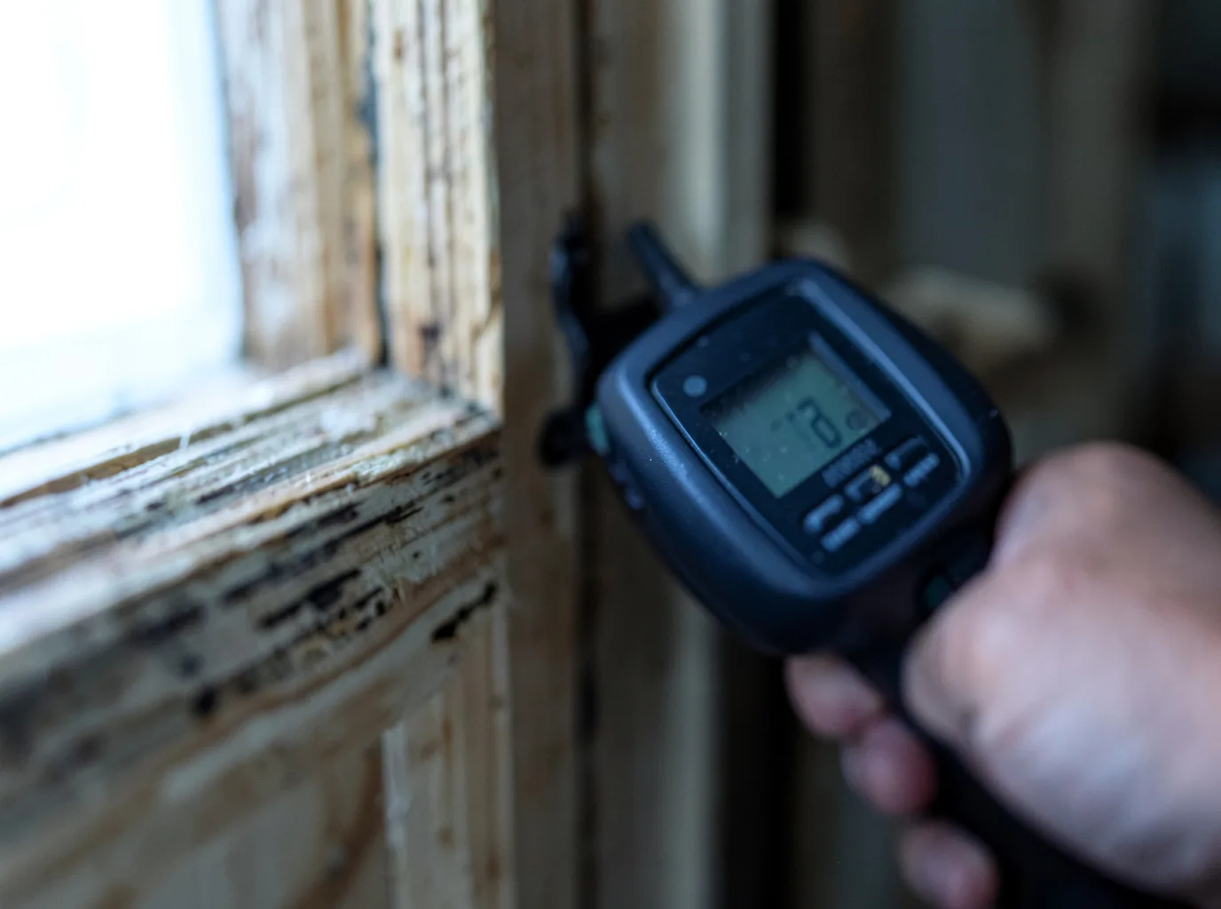 Moisture Inspection And Documentation in Putnam Station, NY